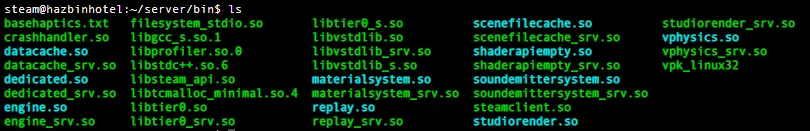 bin folder after symlinks