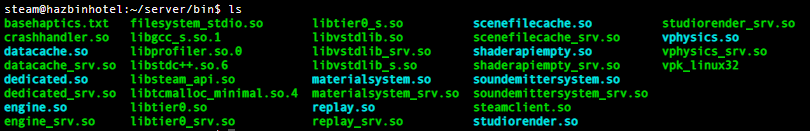 bin folder after symlinks